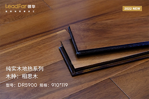 金华相思木DR5900