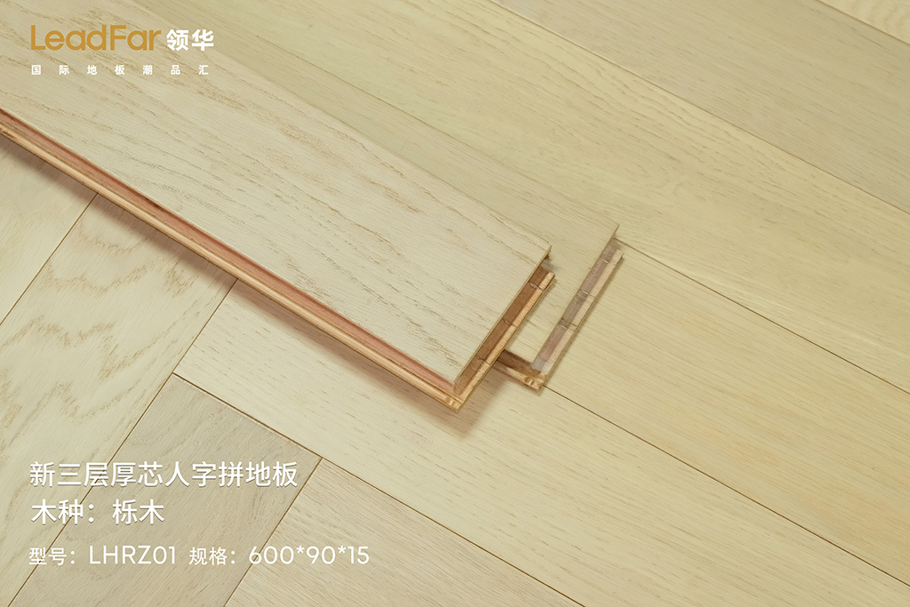 画板 1 拷贝 2.jpg