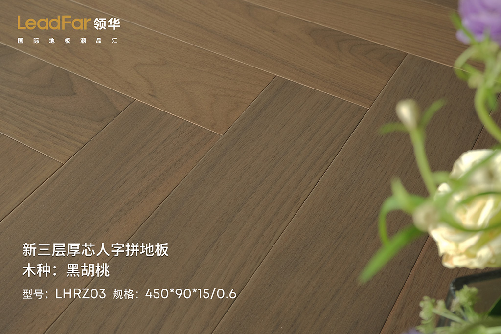 画板 1 拷贝 5.jpg